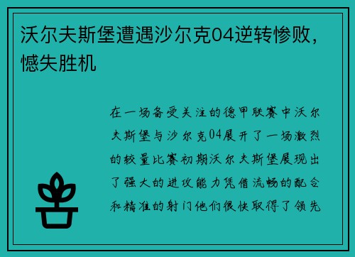 沃尔夫斯堡遭遇沙尔克04逆转惨败，憾失胜机